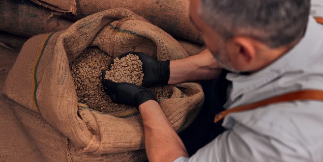 man scooping coffee beans out of a burlap bag